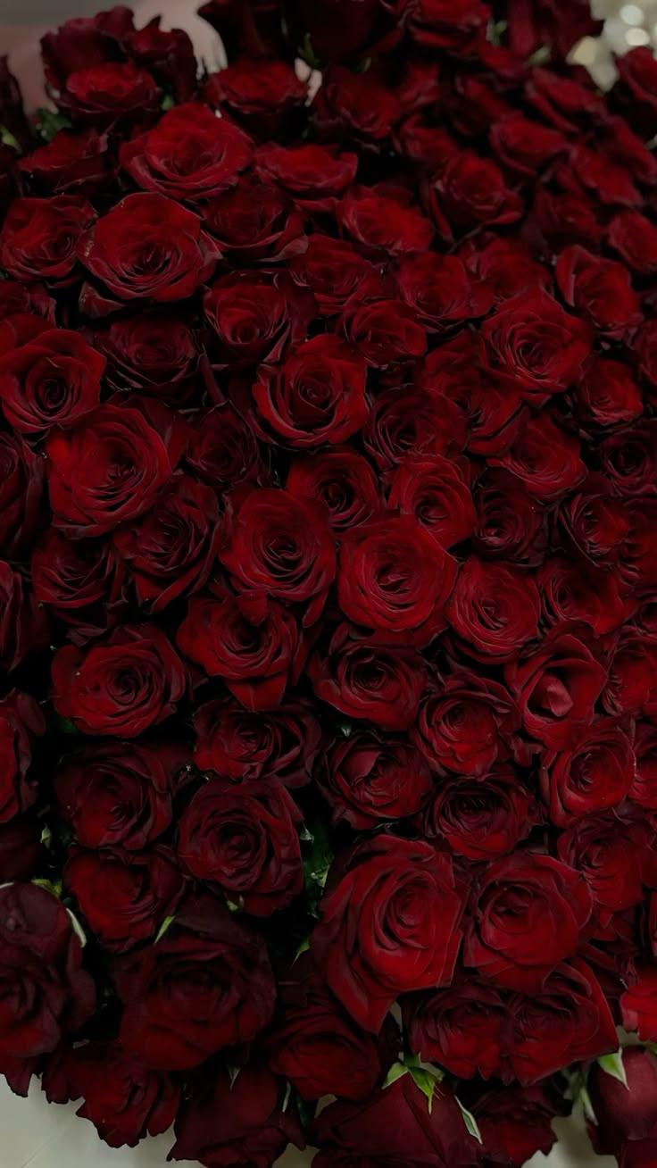 Lively Canvas Hub workshop space where corporate flower arrangements are designed and prepared for business delivery